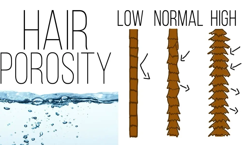 Grades Of Hair Porosity