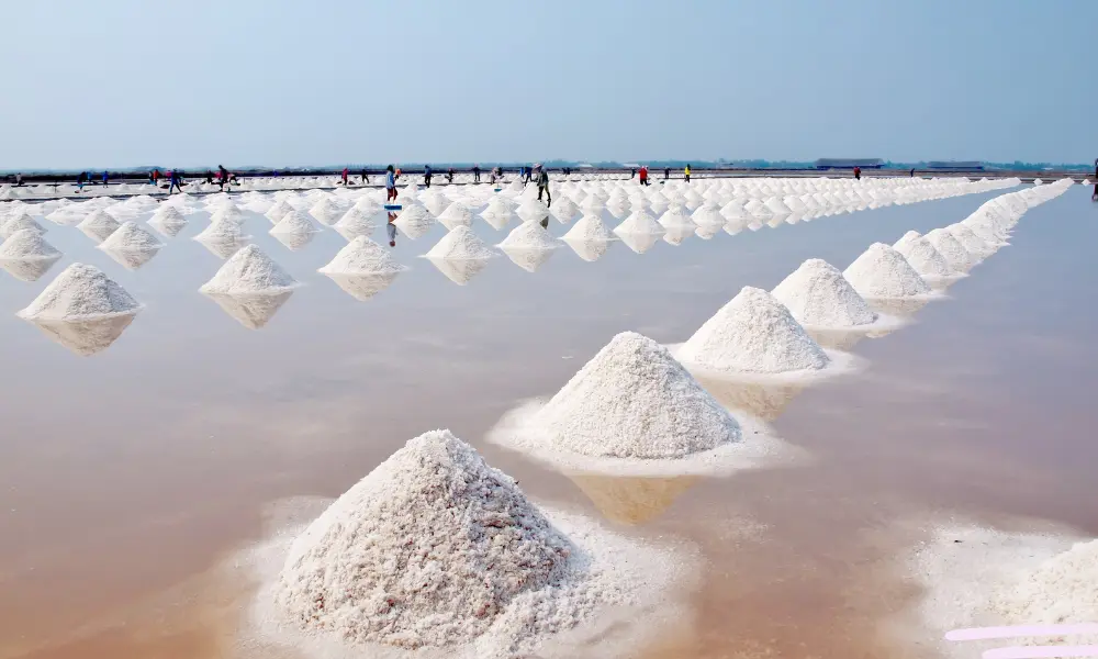 small mountains of salt near sea shore