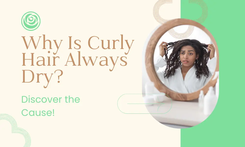 Why Is Curly Hair Always Dry? Discover the Cause!