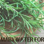 rosemary water for hair