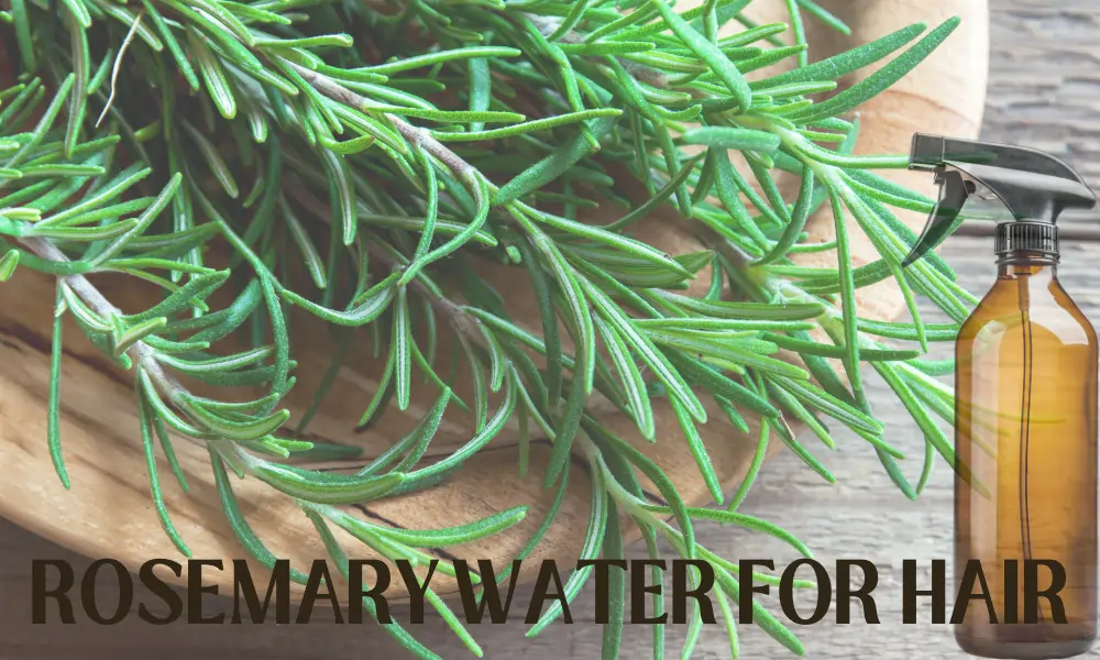 rosemary water for hair