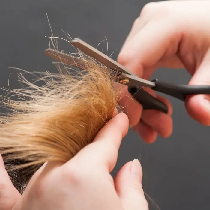 Why Curly Hair Split Ends Form?