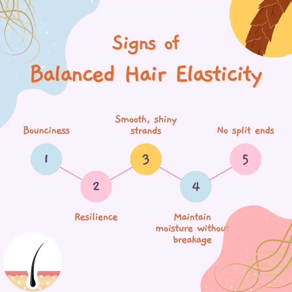 What are the Major Indicators of Optimal Hair Elasticity?