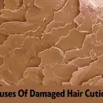 Discover What Really Causes Damaged Hair Cuticles