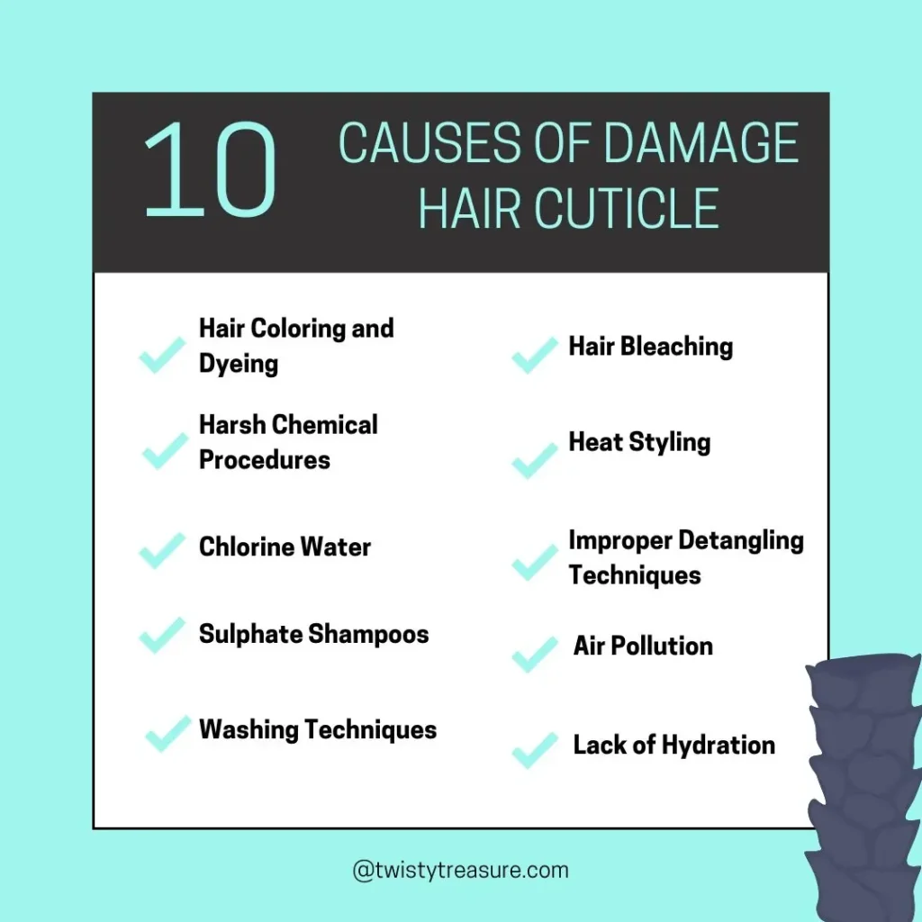 "Discover What Really Causes Damaged Hair Cuticles! 10 Top Reasons" 6 What are the Principal Factors Damaging Hair Cuticles infographic