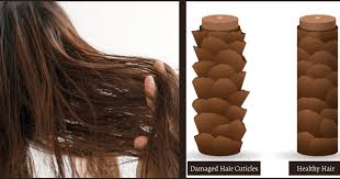 "Discover What Really Causes Damaged Hair Cuticles! 10 Top Reasons" 5 open cuticle