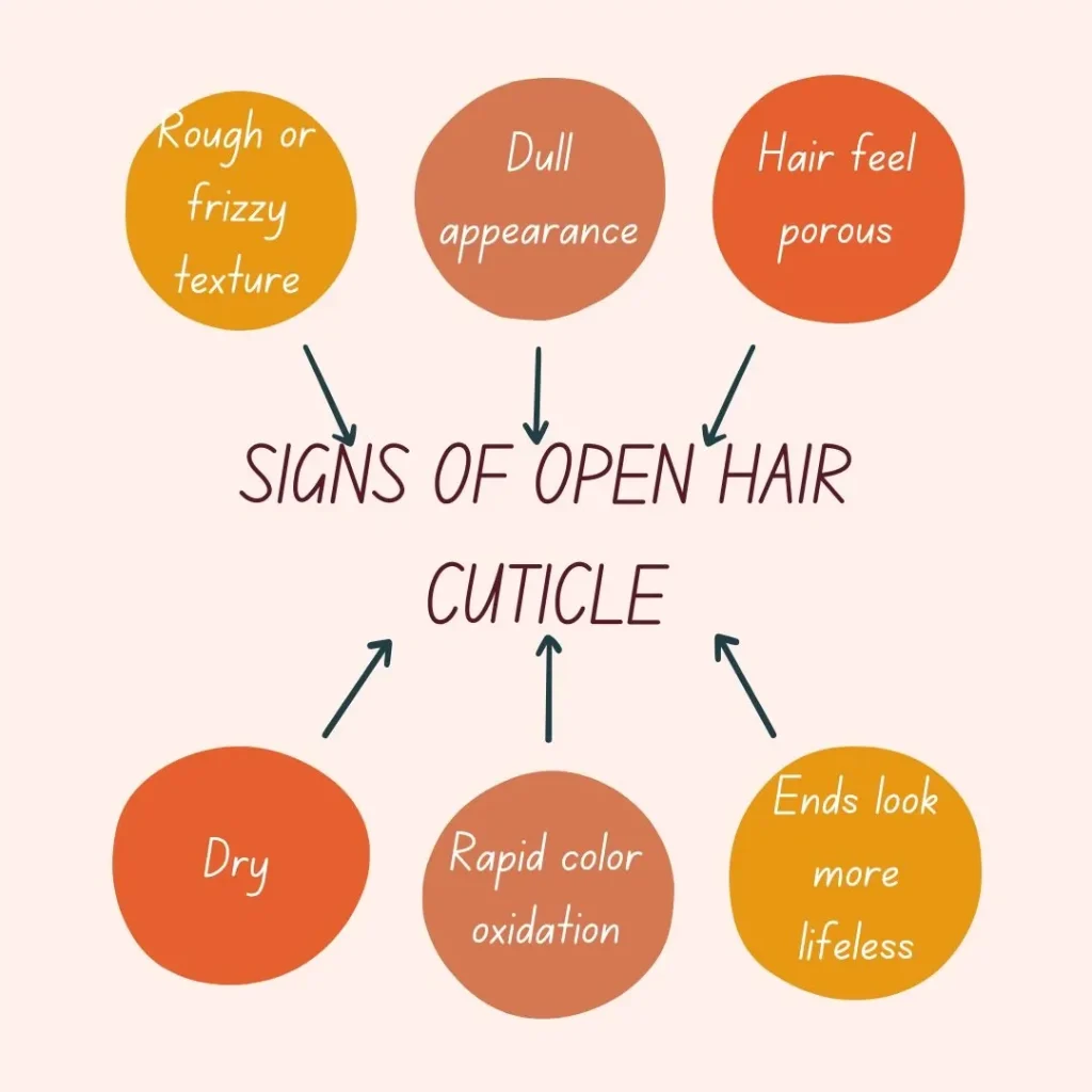 How to Close Hair Cuticle After Coloring? Top 7 Points to Remember 3 What are The Signs Indicate Your Hair Cuticle Is Still Open?
